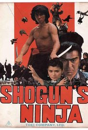 Watch Full Movie :Ninja bugeicho momochi sandayu (1980)