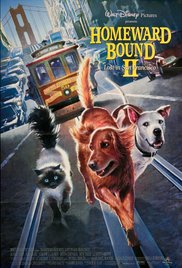 Watch Free Homeward Bound II: Lost in San Francisco (1996)